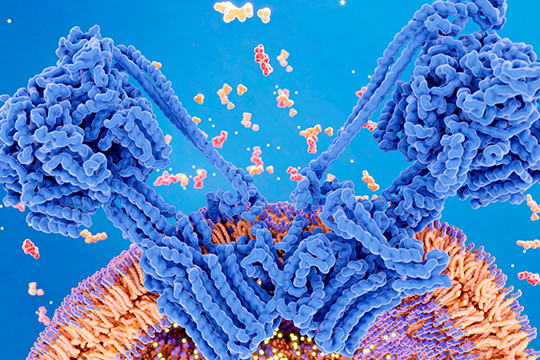 Microneedling with exosomes